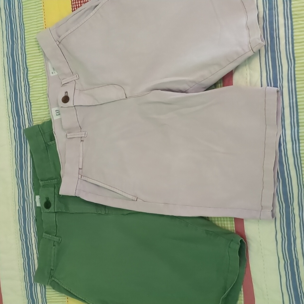 Gap Shorts Lot of 2 Sz. 30